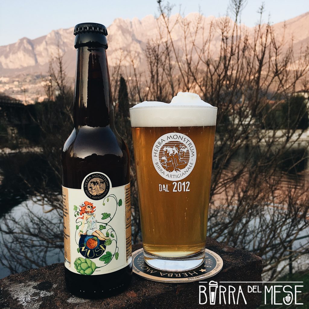 Musa, birra di Aprile 2019. Herba Monstrum Brewery via Ettore Monti, 29, 23851 in zona Ponte Azzone Visconti Lecco.