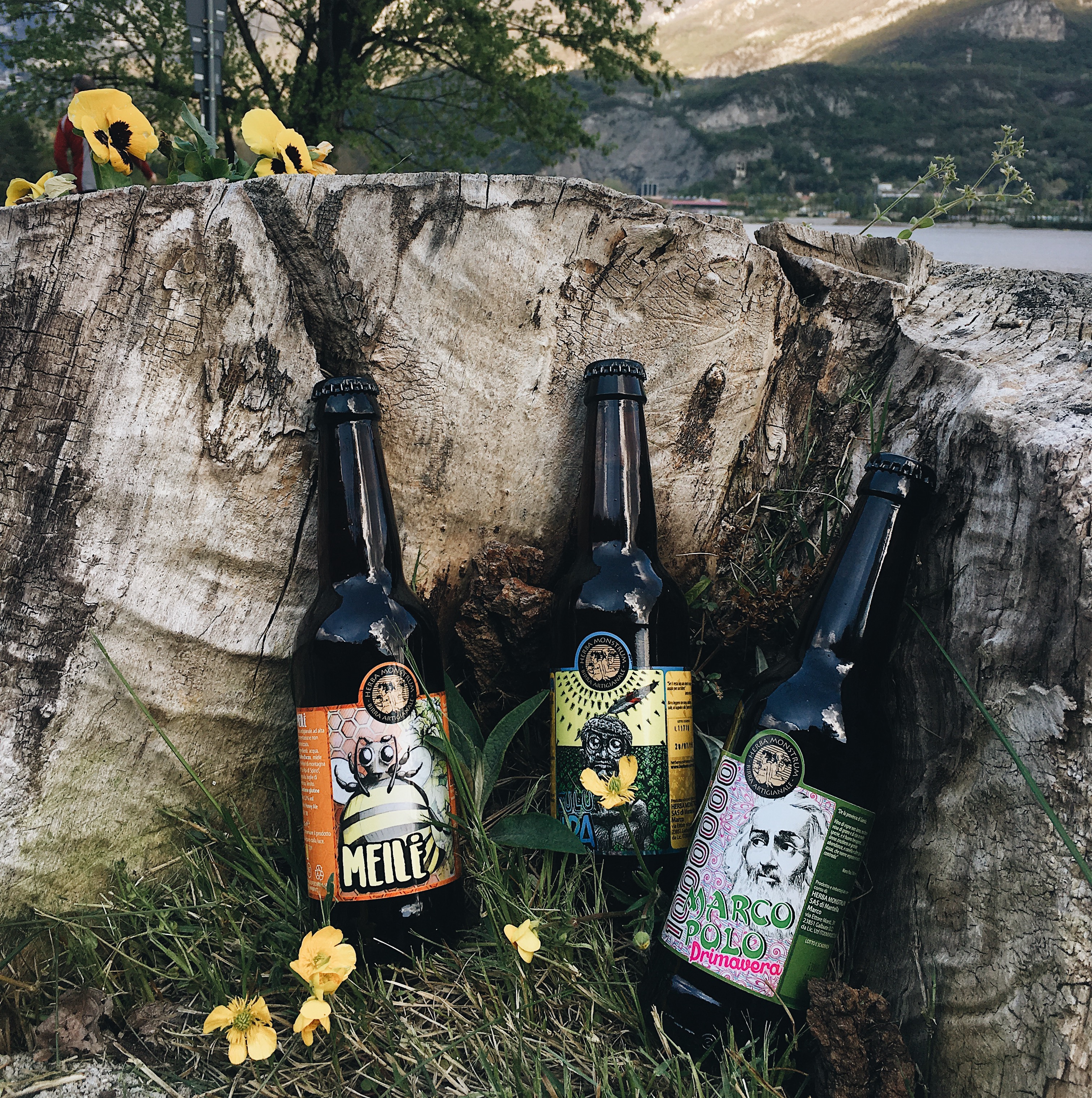 Fiera delle Herbe, Monastero del Lavello Calolziocorte Lecco. Sabato 22 e domenica 23 giugno 2019. Birre artigianali alla spina di Herba Monstrum Brewery.